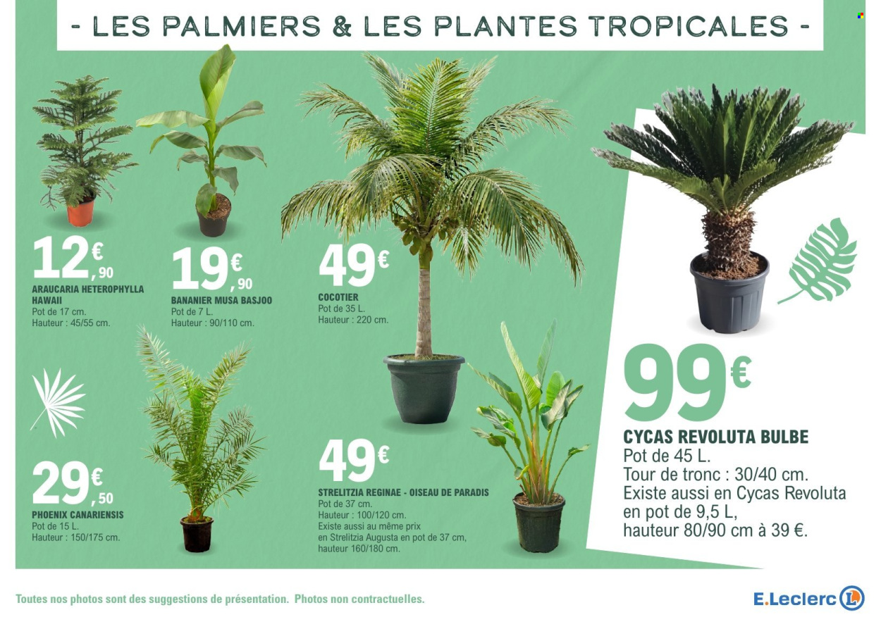 Catalogue E.Leclerc - 17/03/2026 - 28/03/2026. Page 7