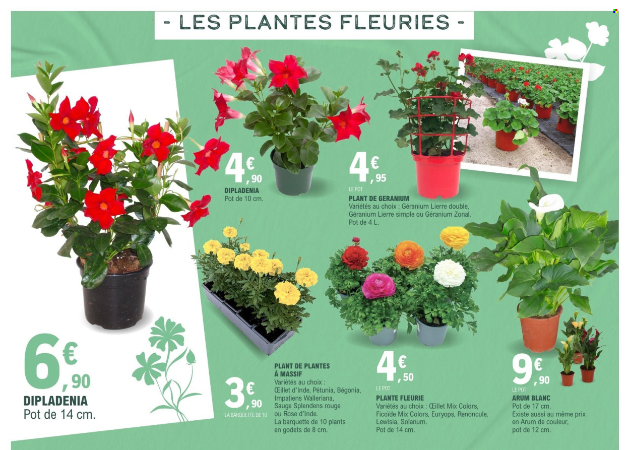 Catalogue E.Leclerc - 17/03/2026 - 28/03/2026. Page 14