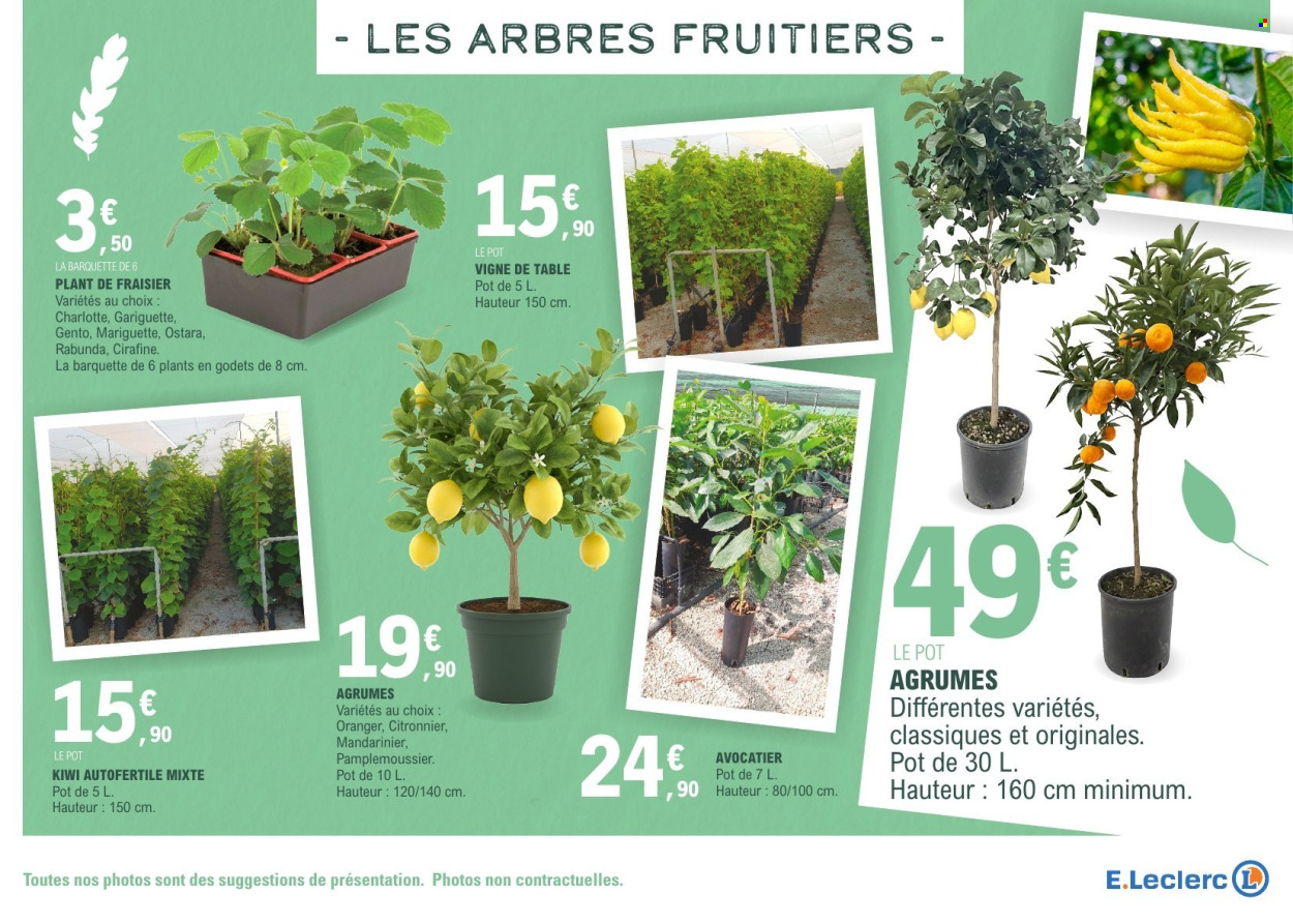 Catalogue E.Leclerc - 17/03/2026 - 28/03/2026. Page 17