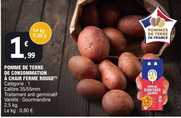 Pomme de terre de consommation à chair ferme rouge