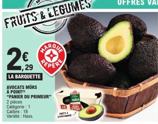 AVOCATS MÛRS À POINT