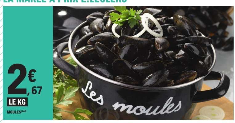 MOULES