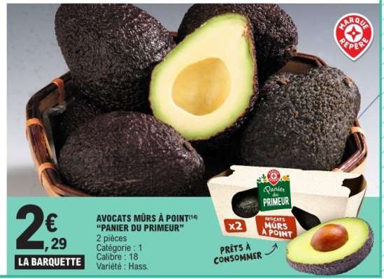 AVOCATS MÛRS À POINT