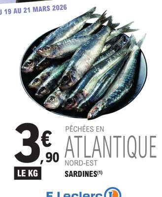 Sardines