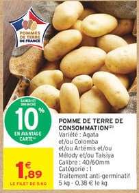 POMME DE TERRE DE CONSOMMATION