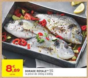 DORADE ROYALE