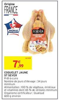 COQUELET JAUNE ST SEVER