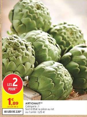 ARTICHAUT