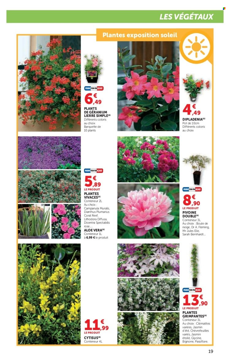 Catalogue SUPER U - 24/03/2026 - 19/04/2026. Page 19
