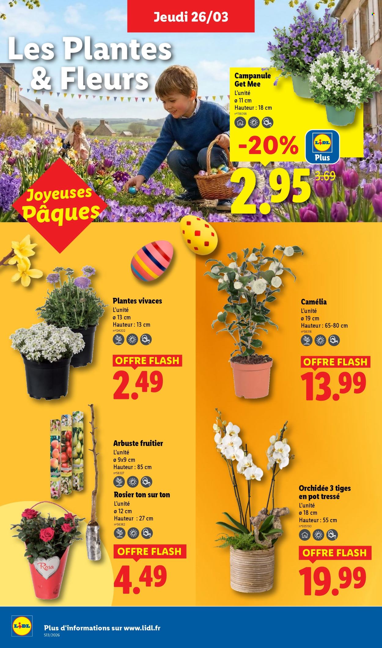 Catalogue Lidl - 26/03/2026 - 01/04/2026. Page 26