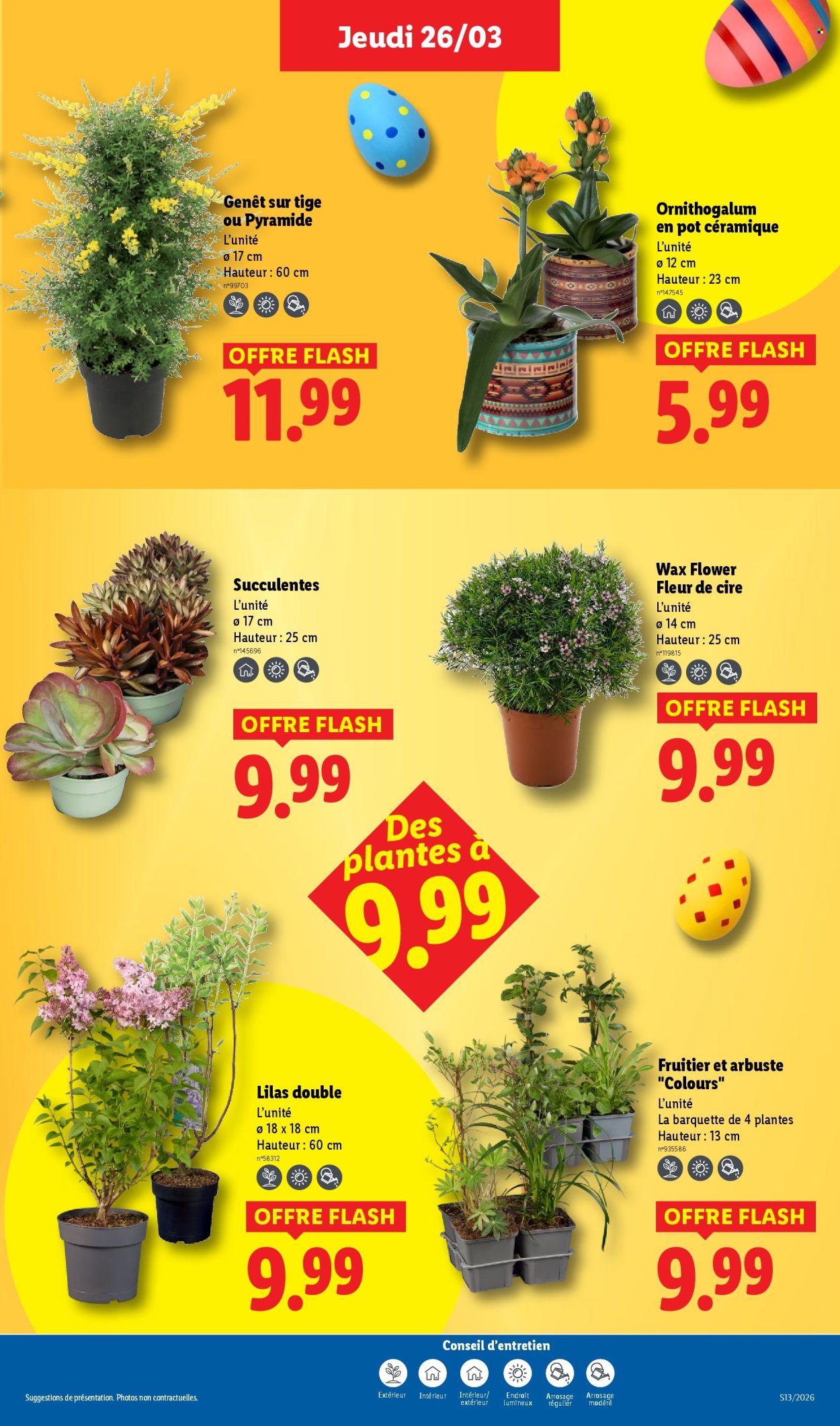 Catalogue Lidl - 26/03/2026 - 01/04/2026. Page 27