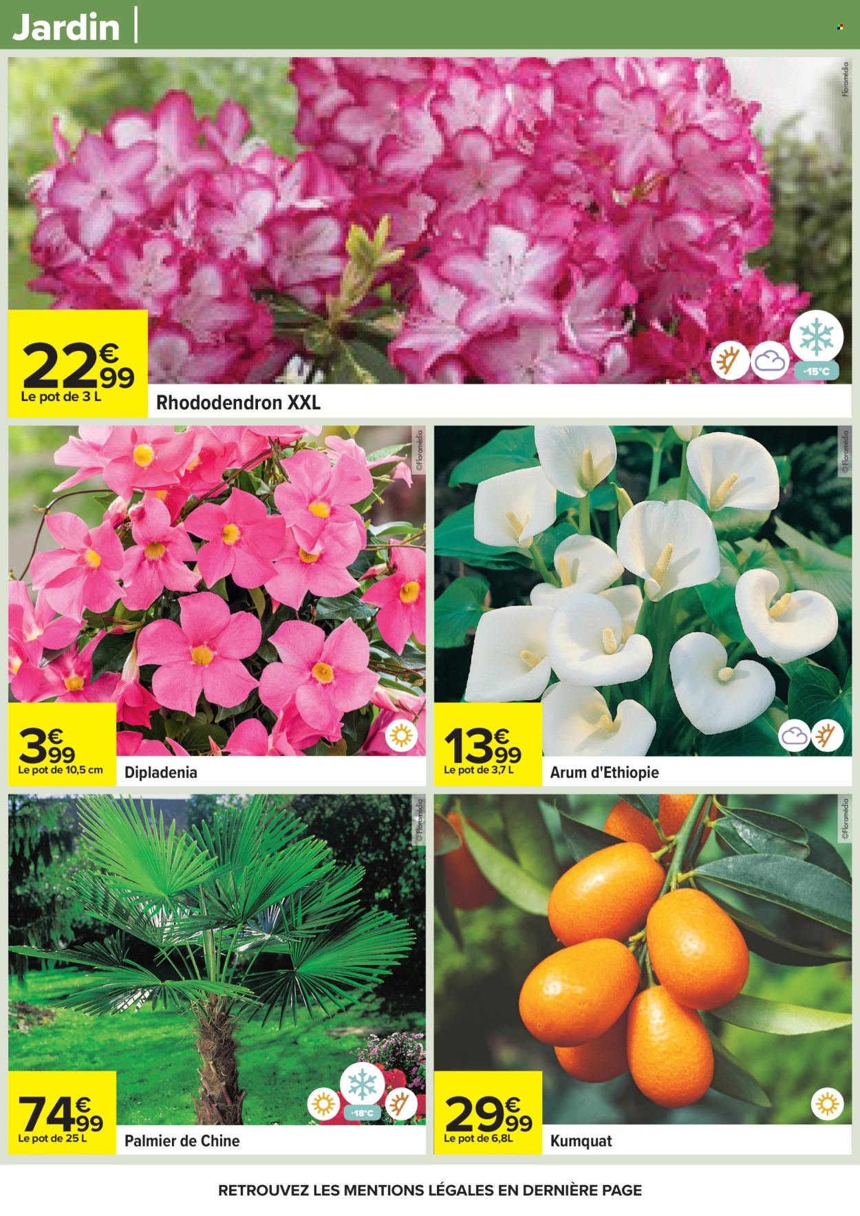 Catalogue Carrefour Hypermarchés - 24/03/2026 - 06/04/2026. Page 105