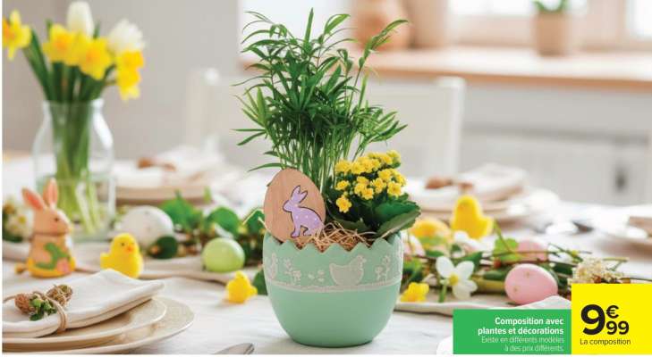 Composition avec plantes et décorations