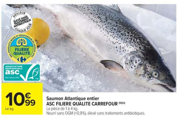 SAUMON ATLANTIQUE ENTIER