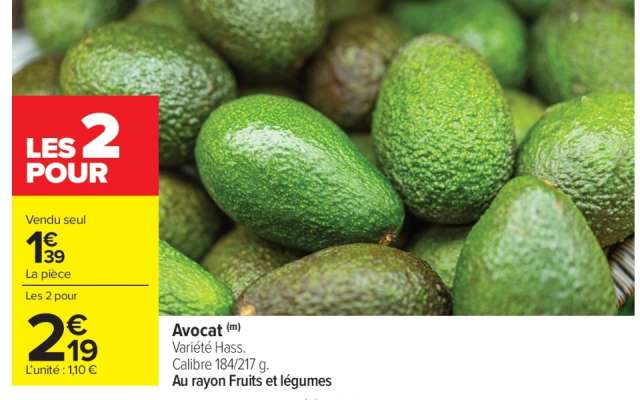 Avocat