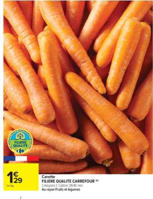 Carotte