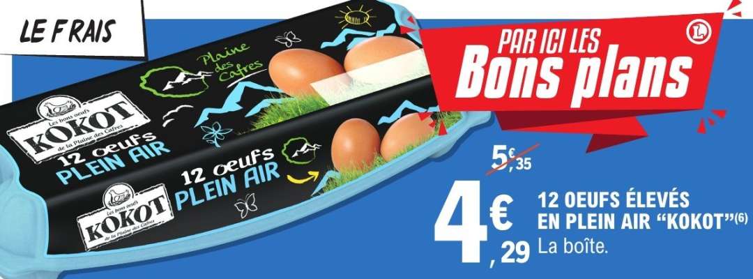 12 OEUFS ÉLEVÉS EN PLEIN AIR "KOKOT"