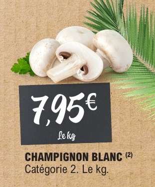 CHAMPIGNON BLANC