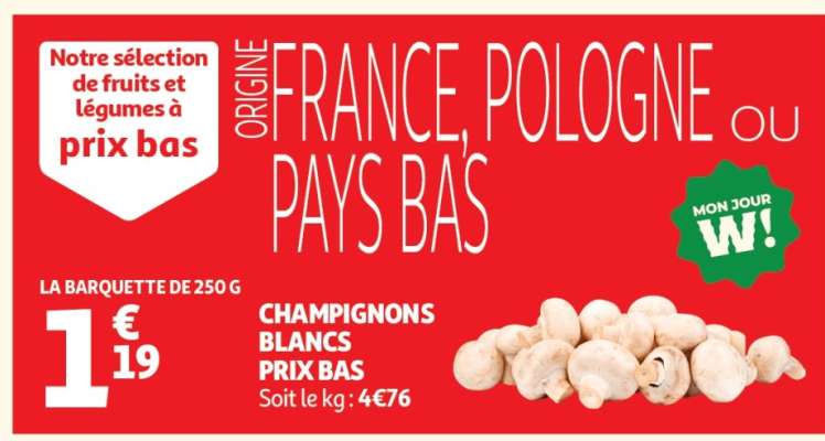 Champignons Blancs