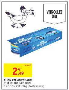 THON EN MORCEAUX PHARE DU CAP BON