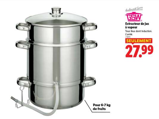 Extracteur de jus à vapeur