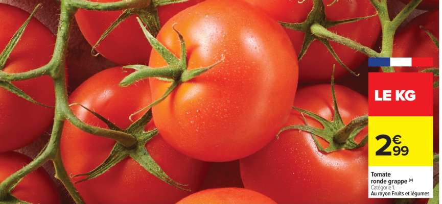 Tomate ronde grappe
