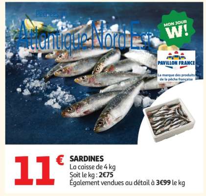 Sardines