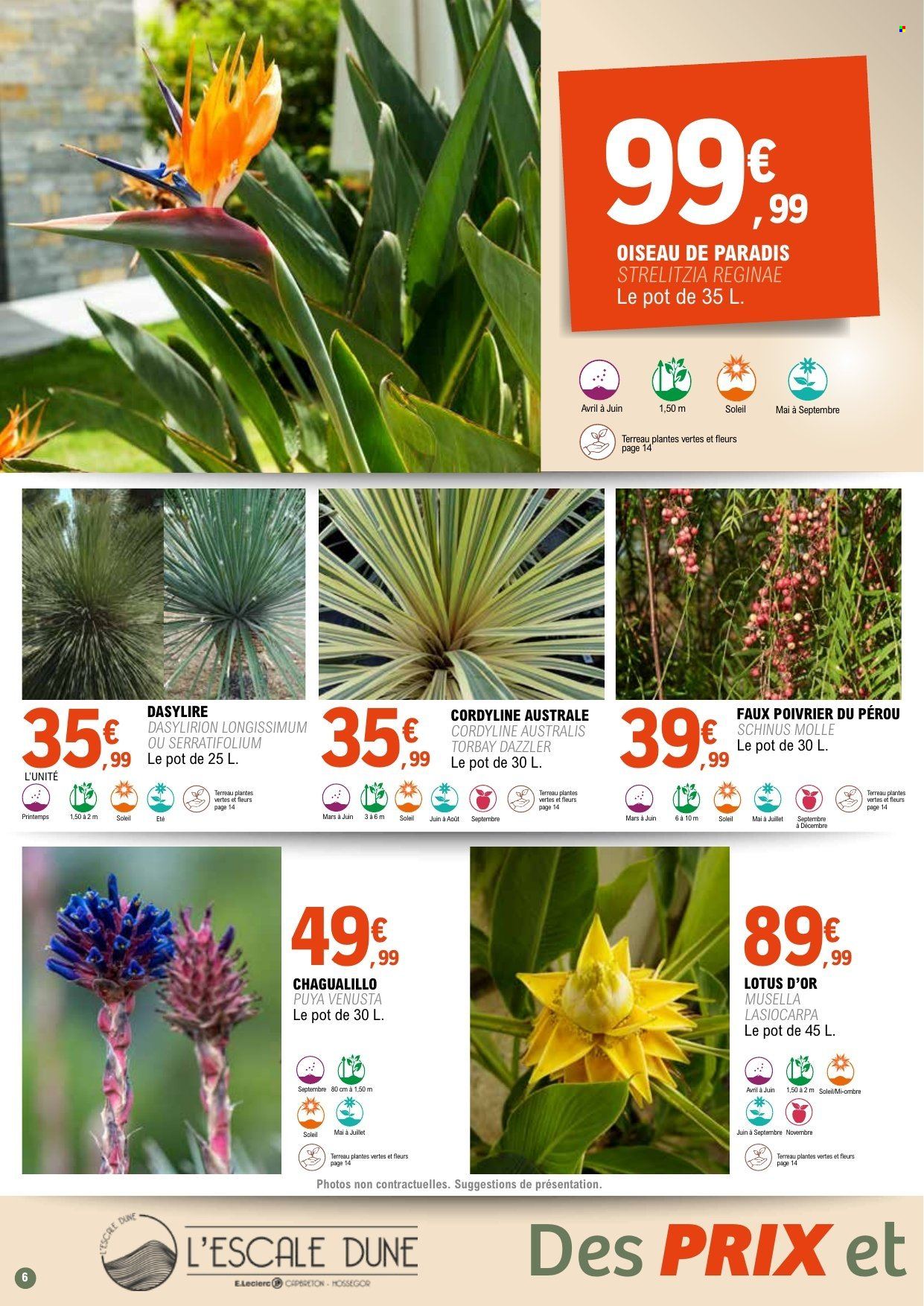 Catalogue E.Leclerc - 31/03/2026 - 11/04/2028. Page 6