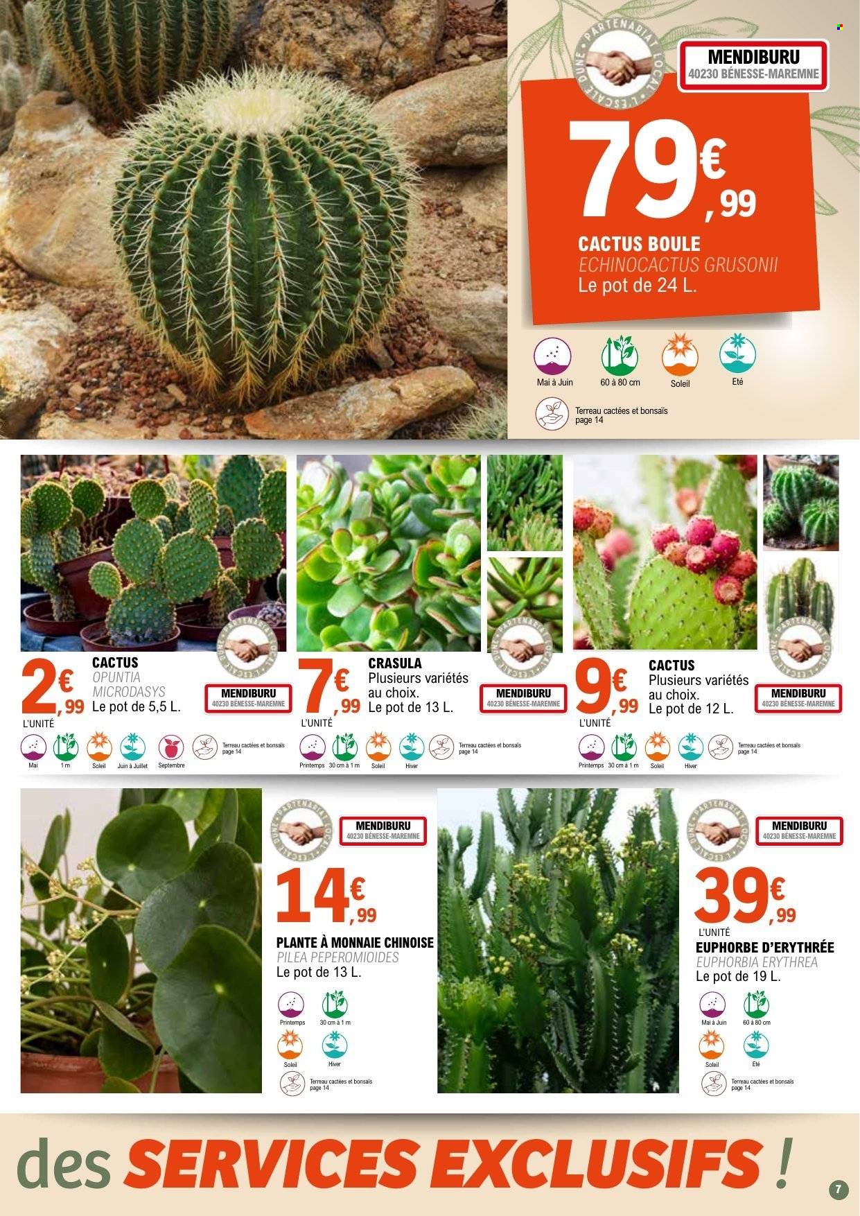 Catalogue E.Leclerc - 31/03/2026 - 11/04/2028. Page 7