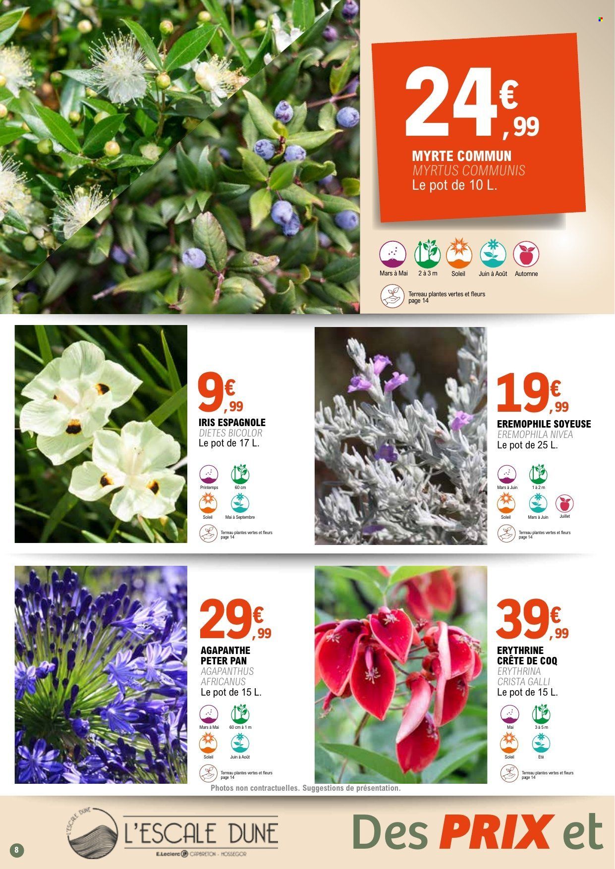 Catalogue E.Leclerc - 31/03/2026 - 11/04/2028. Page 8