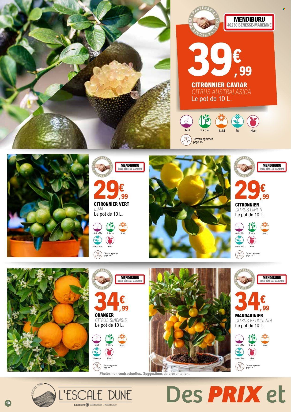 Catalogue E.Leclerc - 31/03/2026 - 11/04/2028. Page 10