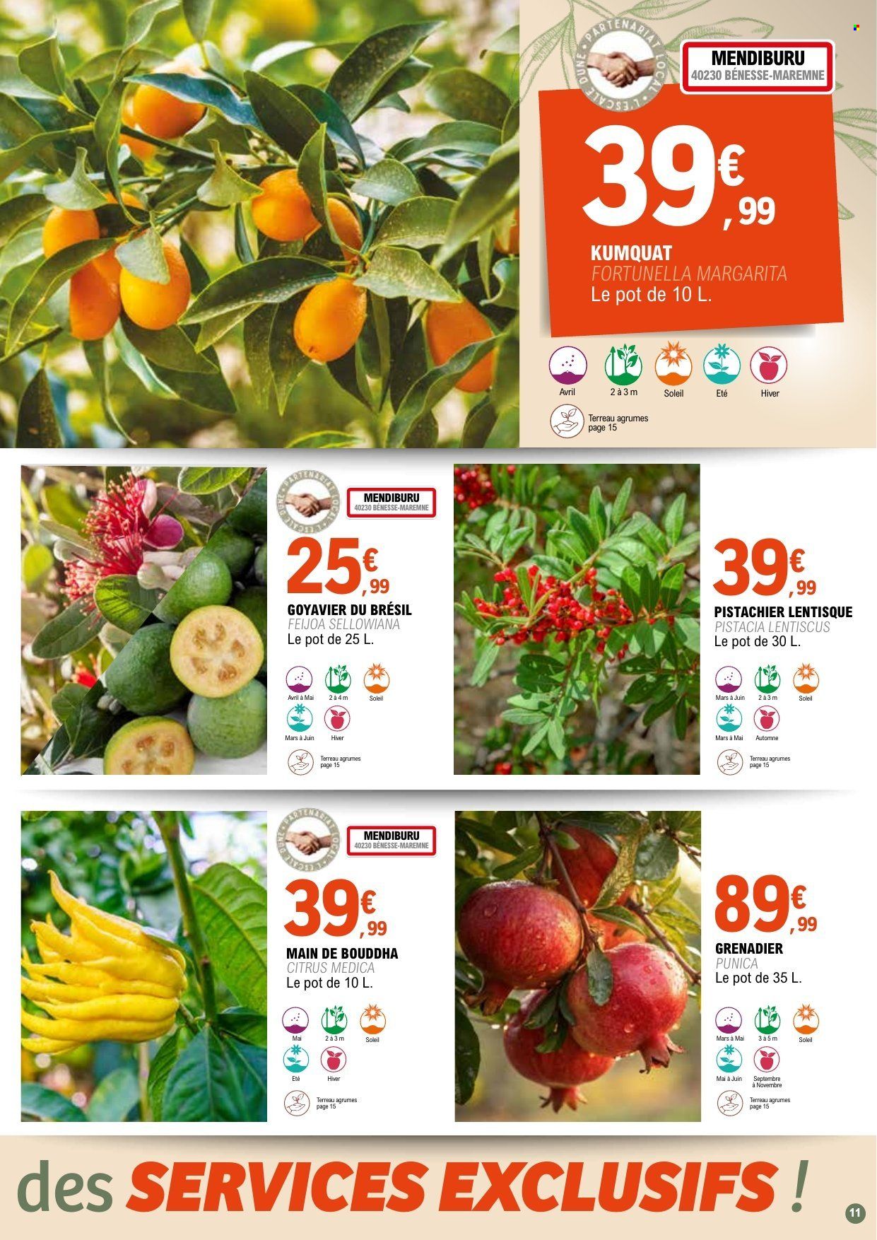 Catalogue E.Leclerc - 31/03/2026 - 11/04/2028. Page 11