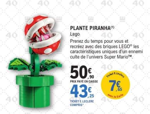 PLANTE PIRANHA