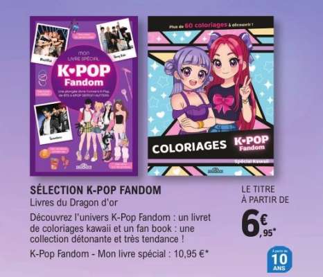 SÉLECTION K-POP FANDOM