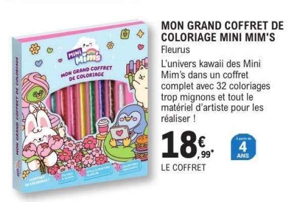 MON GRAND COFFRET DE COLORIAGE MINI MIM'S