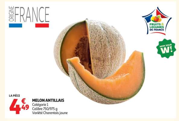 MELON ANTILLAIS