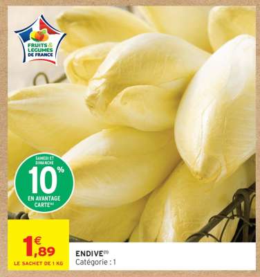 ENDIVE