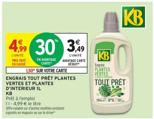 ENGRAIS TOUT PRÊT PLANTES VERTES ET PLANTES D'INTERIEUR 1L KB