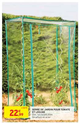 Serre de jardin pour tomate et légume