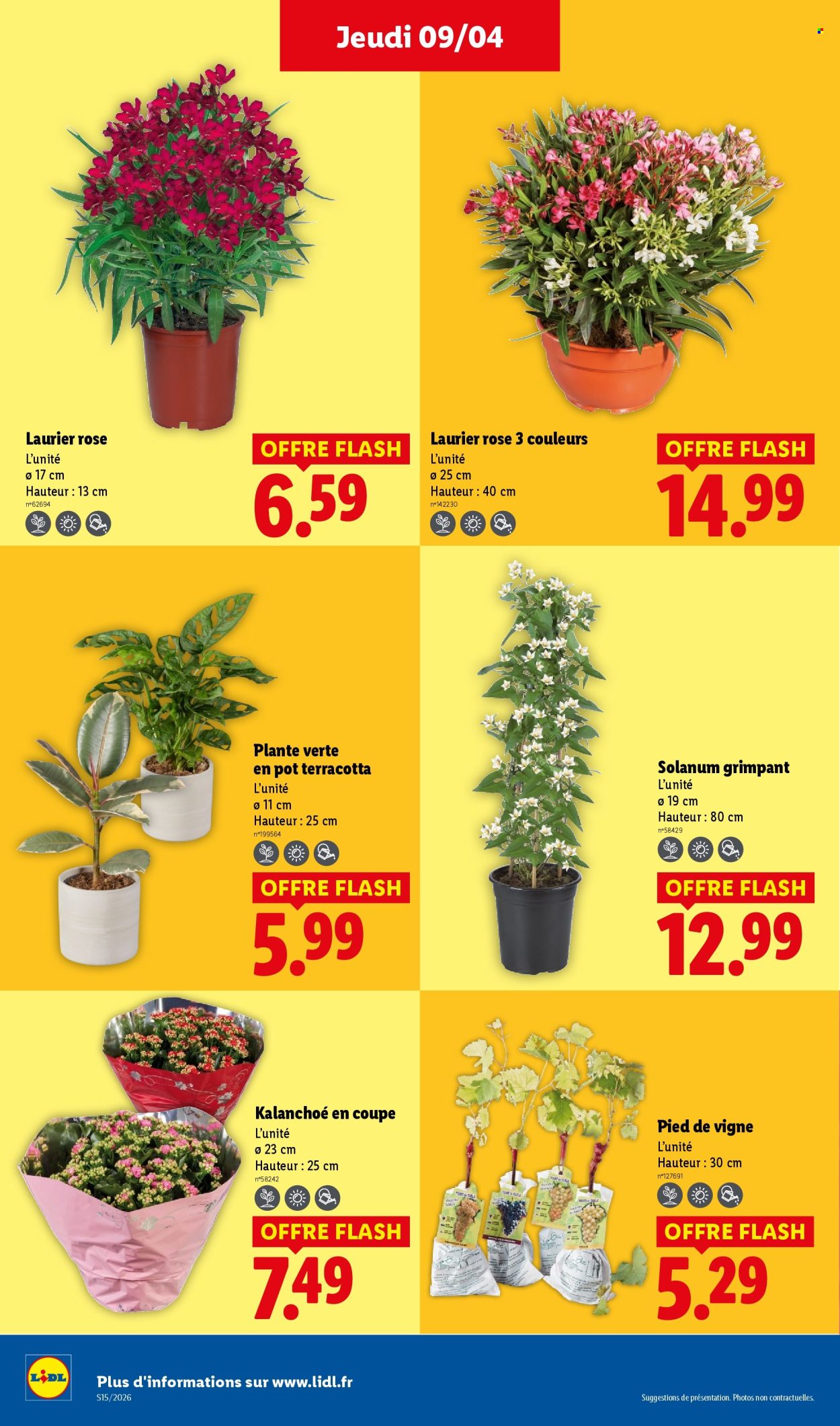 Catalogue Lidl - 09/04/2026 - 15/04/2026. Page 26