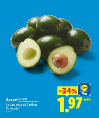 Avocat