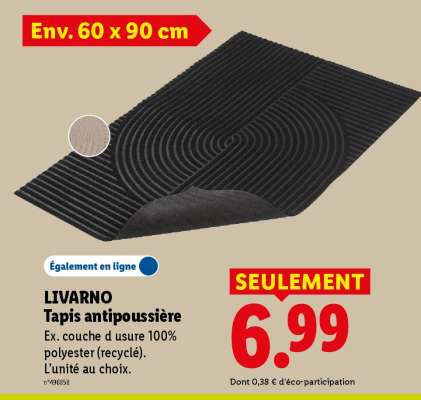 LIVARNO Tapis antipoussière