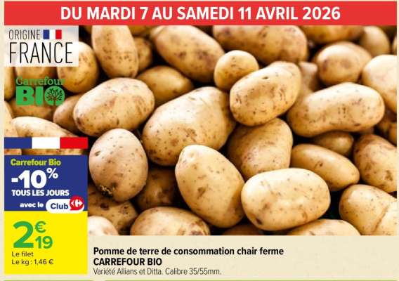 Pomme de terre de consommation chair ferme