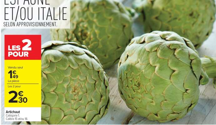 ARTICHAUT