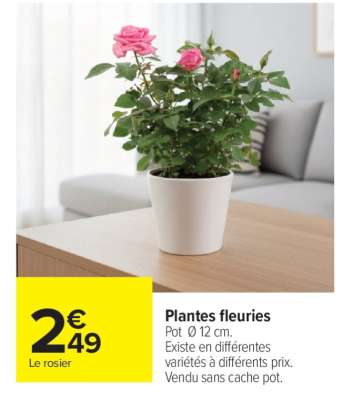 Plantes Fleuries