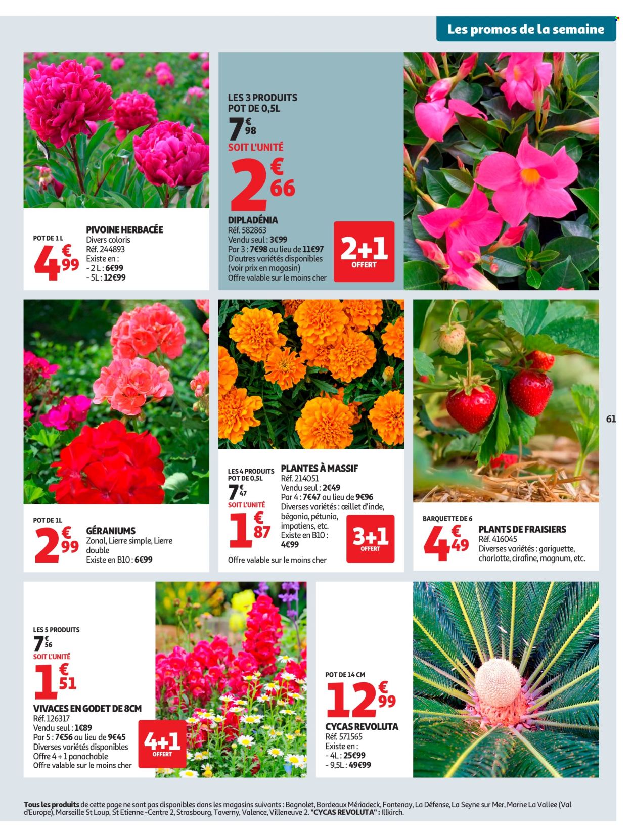 Catalogue Auchan - 08/04/2026 - 19/04/2026. Page 63