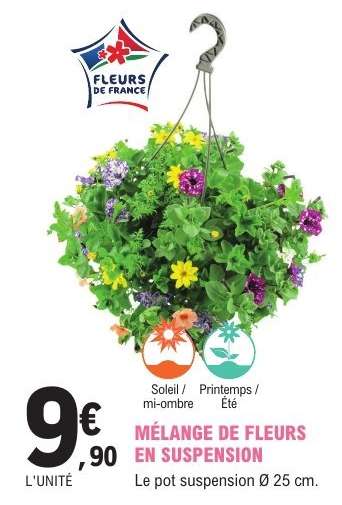 MÉLANGE DE FLEURS EN SUSPENSION