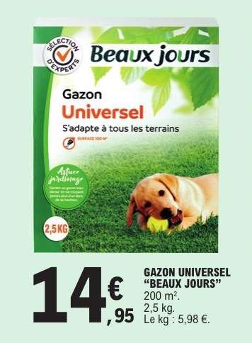 GAZON UNIVERSEL “BEAUX JOURS”