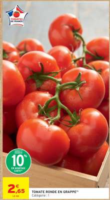 TOMATE RONDE EN GRAPPE