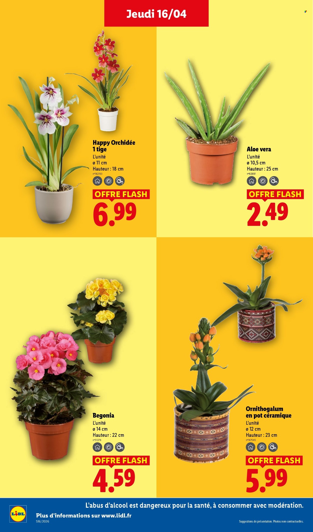 Catalogue Lidl - 16/04/2026 - 22/04/2026. Page 26